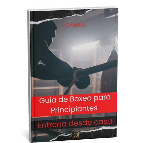 E-books/Guías para Principiantes de Boxeo