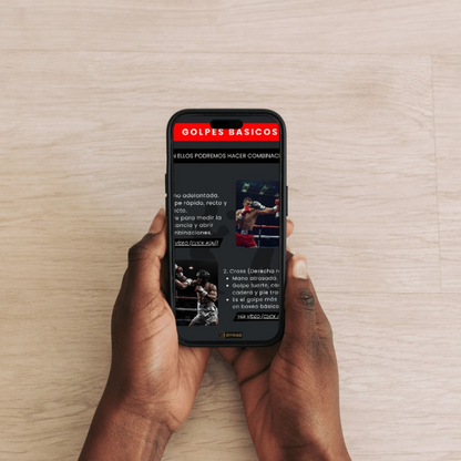 E-books/Guías para Principiantes de Boxeo